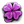 Purple Clover